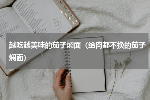 越吃越美味的茄子焖面（给肉都不换的茄子焖面）