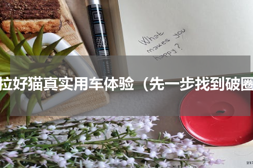 欧拉好猫真实用车体验（先一步找到破圈）