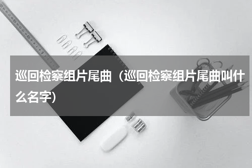 巡回检察组片尾曲（巡回检察组片尾曲叫什么名字）