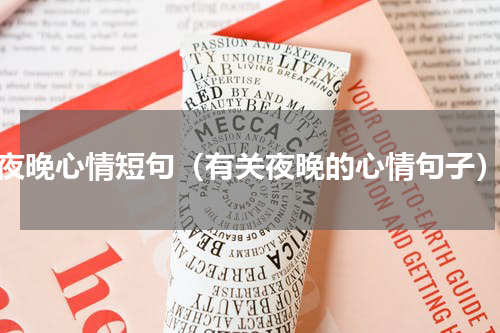 夜晚心情短句（有关夜晚的心情句子）