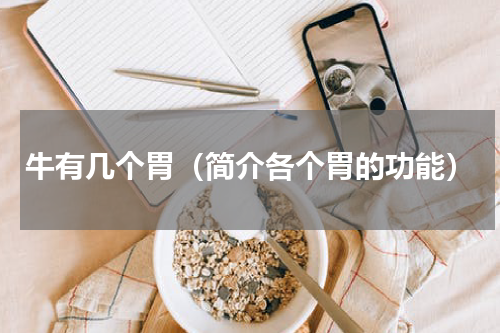 牛有几个胃（简介各个胃的功能）