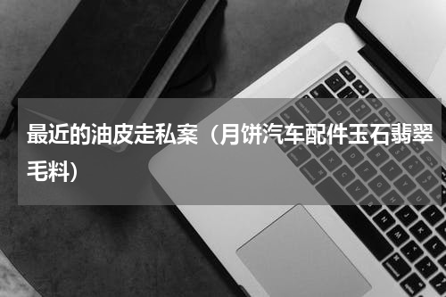 最近的油皮走私案（月饼汽车配件玉石翡翠毛料）