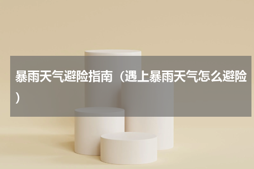 暴雨天气避险指南（遇上暴雨天气怎么避险）