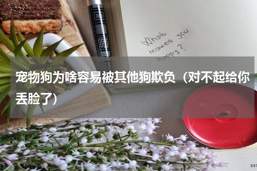宠物狗为啥容易被其他狗欺负（对不起给你丢脸了）