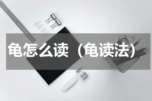 龟怎么读（龟读法）