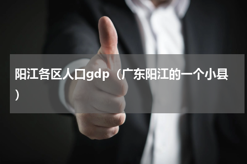 阳江各区人口gdp（广东阳江的一个小县）