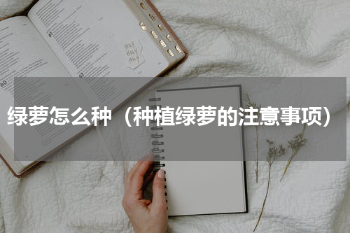 绿萝怎么种（种植绿萝的注意事项）