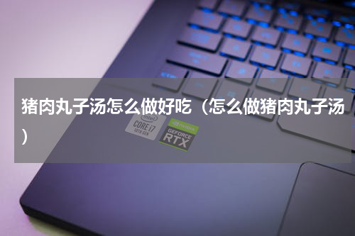 猪肉丸子汤怎么做好吃（怎么做猪肉丸子汤）