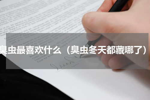 臭虫最喜欢什么（臭虫冬天都藏哪了）