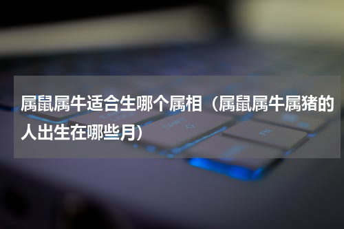 属鼠属牛适合生哪个属相（属鼠属牛属猪的人出生在哪些月）