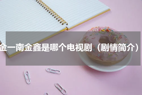 金一南金鑫是哪个电视剧（剧情简介）