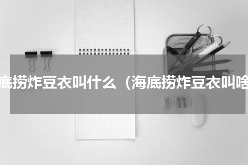 海底捞炸豆衣叫什么（海底捞炸豆衣叫啥）