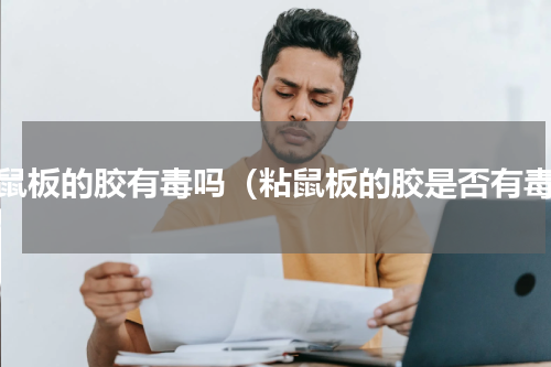 粘鼠板的胶有毒吗（粘鼠板的胶是否有毒）