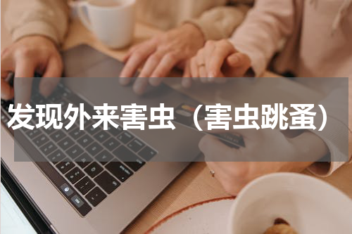 发现外来害虫（害虫跳蚤）