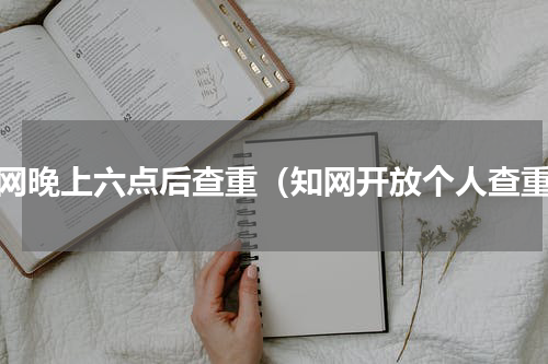 知网晚上六点后查重（知网开放个人查重）
