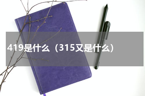 419是什么（315又是什么）