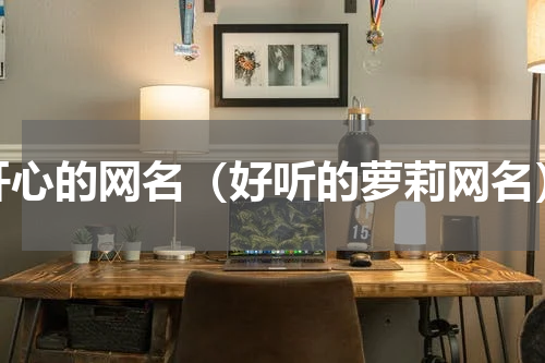 开心的网名（好听的萝莉网名）
