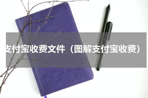 支付宝收费文件（图解支付宝收费）