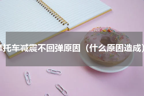 摩托车减震不回弹原因（什么原因造成）