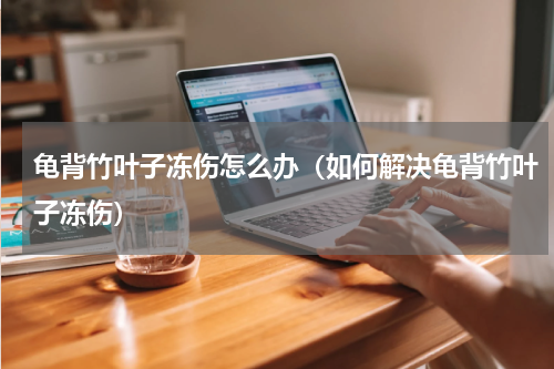 龟背竹叶子冻伤怎么办（如何解决龟背竹叶子冻伤）