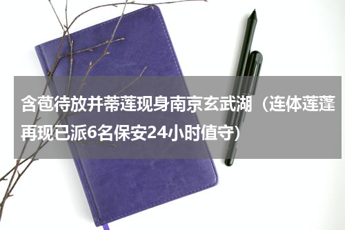含苞待放并蒂莲现身南京玄武湖（连体莲蓬再现已派6名保安24小时值守）