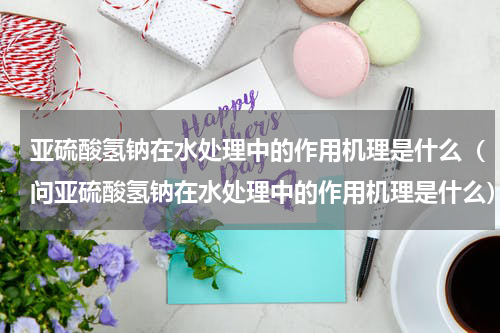 亚硫酸氢钠在水处理中的作用机理是什么（问亚硫酸氢钠在水处理中的作用机理是什么）