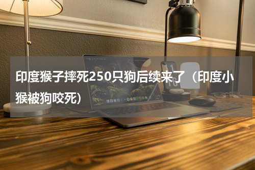 印度猴子摔死250只狗后续来了（印度小猴被狗咬死）