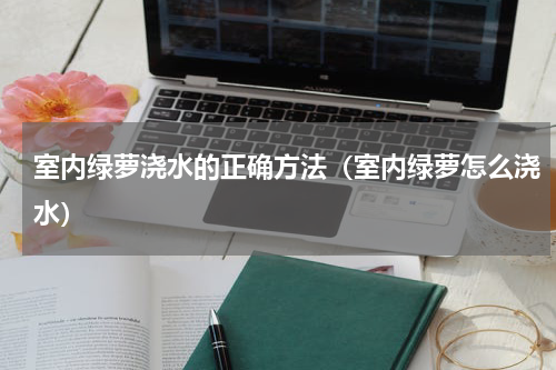 室内绿萝浇水的正确方法（室内绿萝怎么浇水）