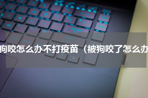 被狗咬怎么办不打疫苗（被狗咬了怎么办）