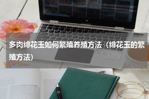 多肉绯花玉如何繁殖养殖方法（绯花玉的繁殖方法）