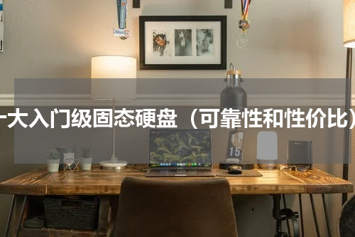 十大入门级固态硬盘（可靠性和性价比）