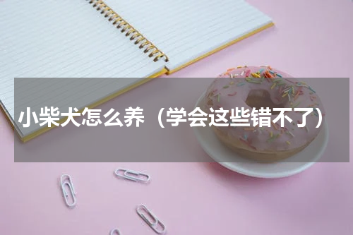 小柴犬怎么养（学会这些错不了）