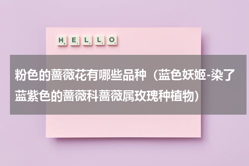 粉色的蔷薇花有哪些品种（蓝色妖姬-染了蓝紫色的蔷薇科蔷薇属玫瑰种植物）