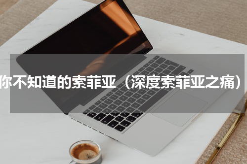 你不知道的索菲亚（深度索菲亚之痛）
