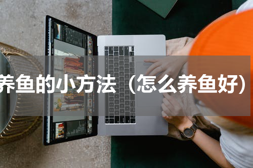 养鱼的小方法（怎么养鱼好）