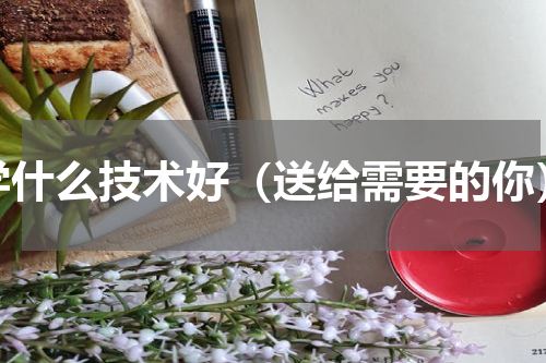 学什么技术好（送给需要的你）