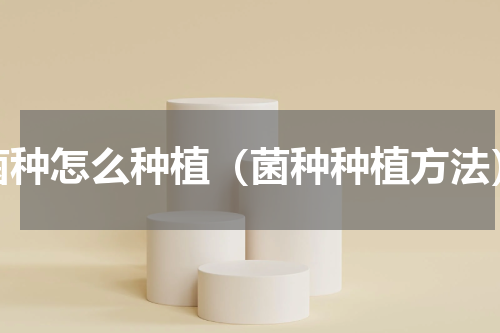 菌种怎么种植（菌种种植方法）