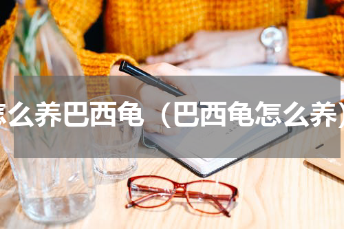 怎么养巴西龟（巴西龟怎么养）