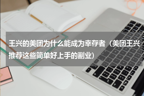 王兴的美团为什么能成为幸存者（美团王兴推荐这些简单好上手的副业）