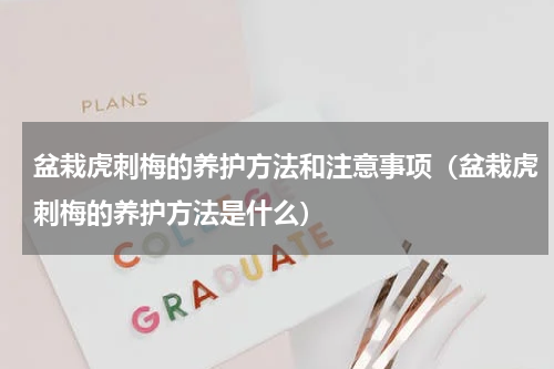 盆栽虎刺梅的养护方法和注意事项（盆栽虎刺梅的养护方法是什么）