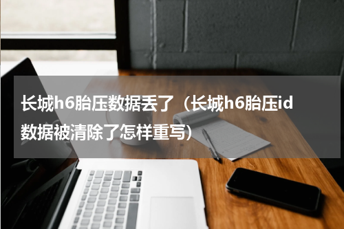长城h6胎压数据丢了（长城h6胎压id数据被清除了怎样重写）