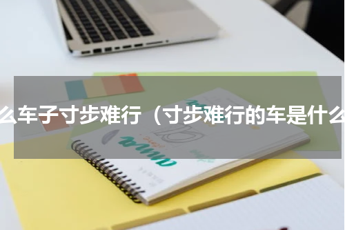 什么车子寸步难行（寸步难行的车是什么）