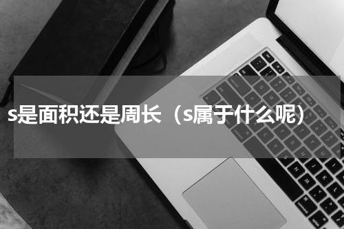 s是面积还是周长（s属于什么呢）