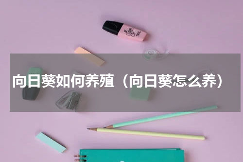 向日葵如何养殖（向日葵怎么养）