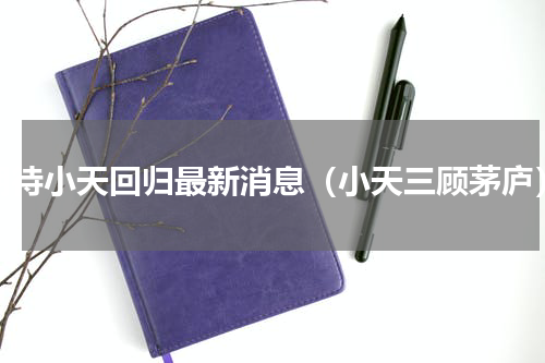 期待小天回归最新消息（小天三顾茅庐）