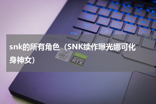 snk的所有角色（SNK续作曝光娜可化身神女）
