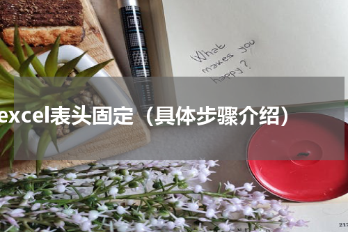 excel表头固定（具体步骤介绍）