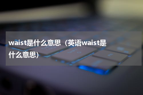 waist是什么意思（英语waist是什么意思）