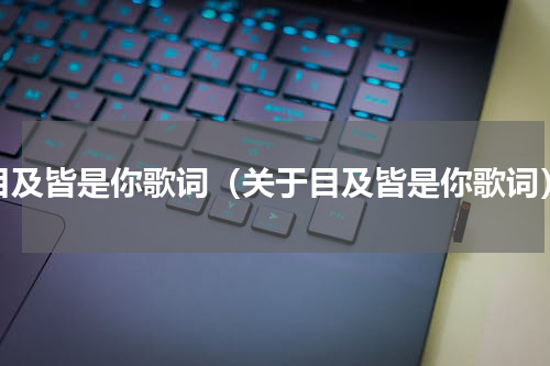 目及皆是你歌词（关于目及皆是你歌词）