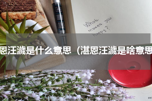 湛恩汪濊是什么意思（湛恩汪濊是啥意思）